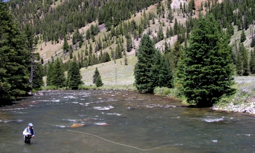 Gallatin River Yellowstone Fly Fishing Montana