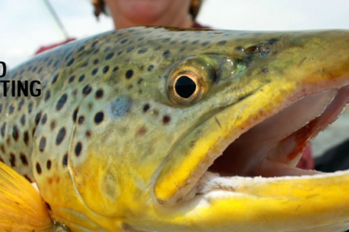 Hooked Outfitting — , 