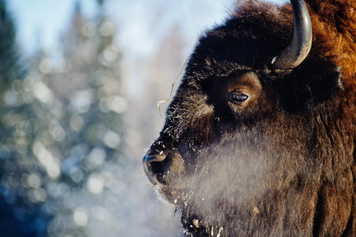 Off The Beaten Path — , 