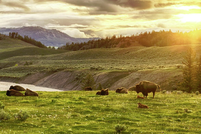 Off The Beaten Path — , 