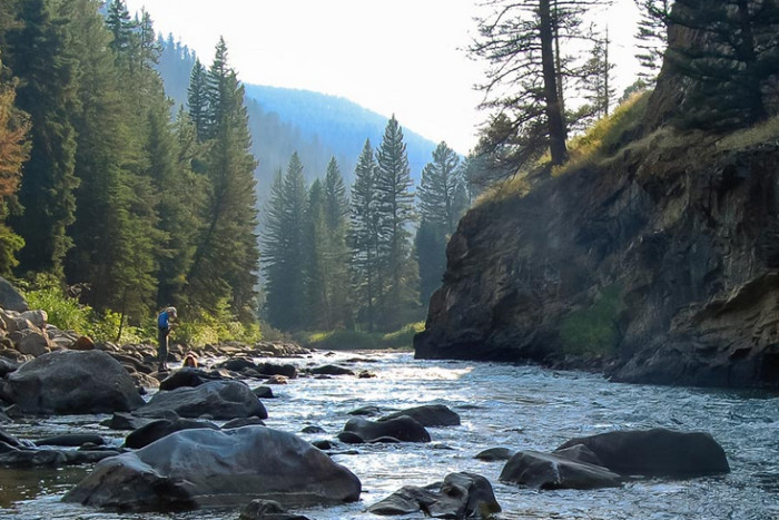 Fishing Around Big Sky