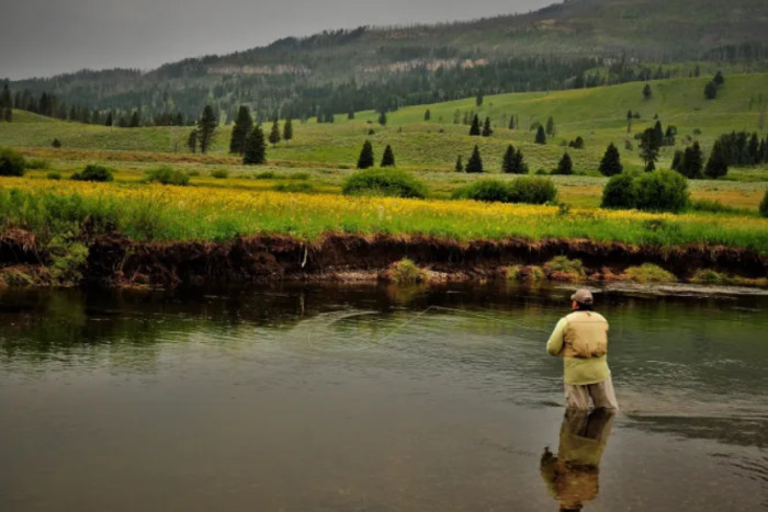 Greater Yellowstone Fly Fishers — , 