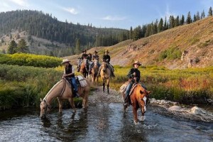 Yellowstone Mountain Guides - fall horseback trips