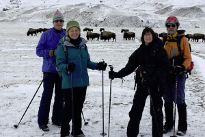 Bozeman Tourbase | Snowshoe & Wildlife Tour
