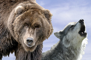 Grizzly & Wolf Discovery Center - West Yellowstone