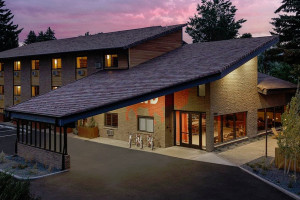 Wandering Buffalo | along Hwy 191 in Bozeman