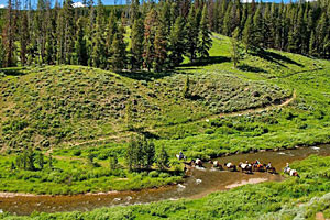 Sunrise Pack Station - pack trips into Yellowstone