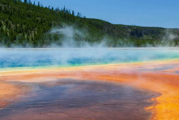 Yellowstone Safari Company — , 
