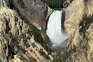 Yellowstone Safari Company