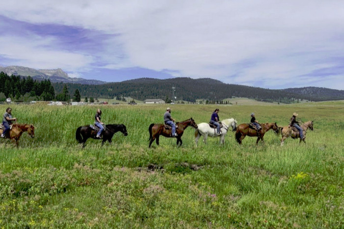 Creekside Trail Rides — , 