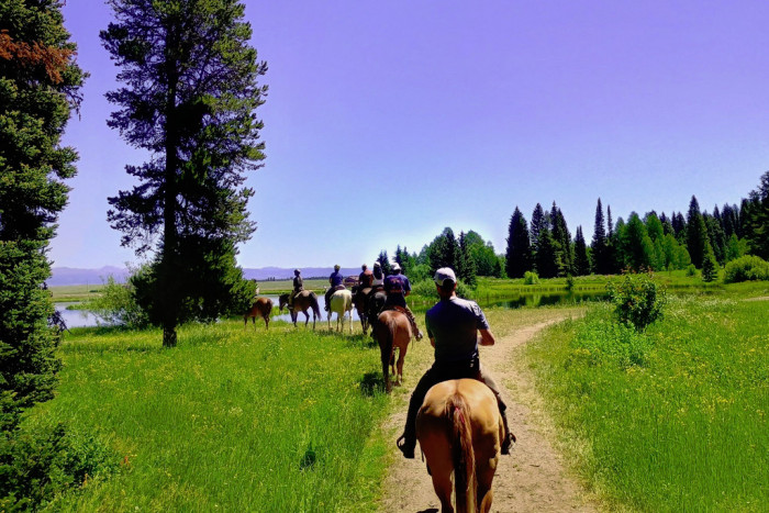 Creekside Trail Rides — , 