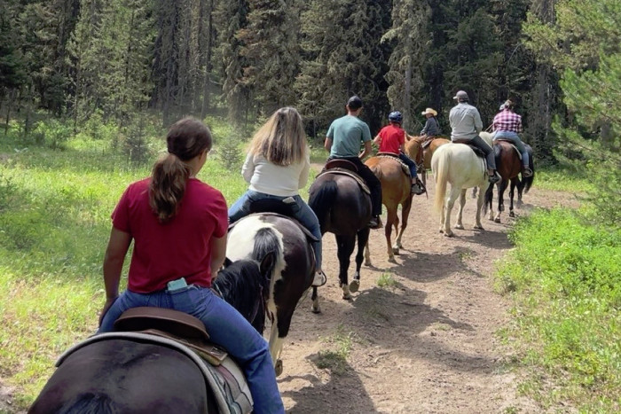Creekside Trail Rides — , 