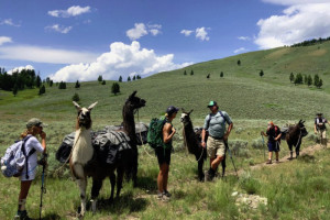 Pioneer Outfitters | Multi-Day Summer Activities