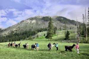Day Hiking & Fishing Adventures Near Big Sky