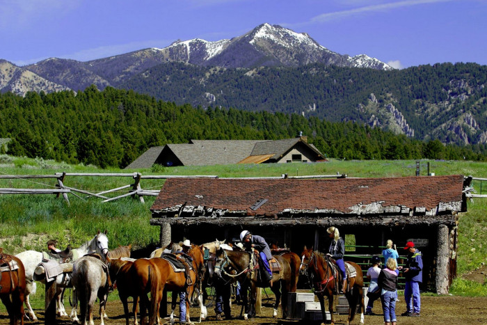 Jake's Horses — , 