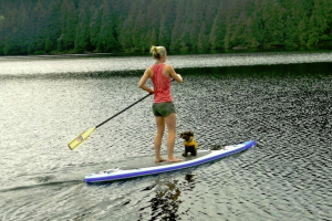 SUP, Tube, Raft, Kayak, JetSki Rentals & More