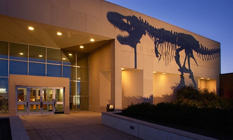 Shadow of Mike the Dinosaur in front of Museum of the Rockies
