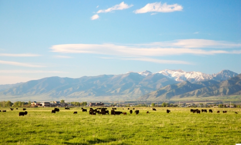 Gallatin Valley Bridger Mountains Bozeman Montana