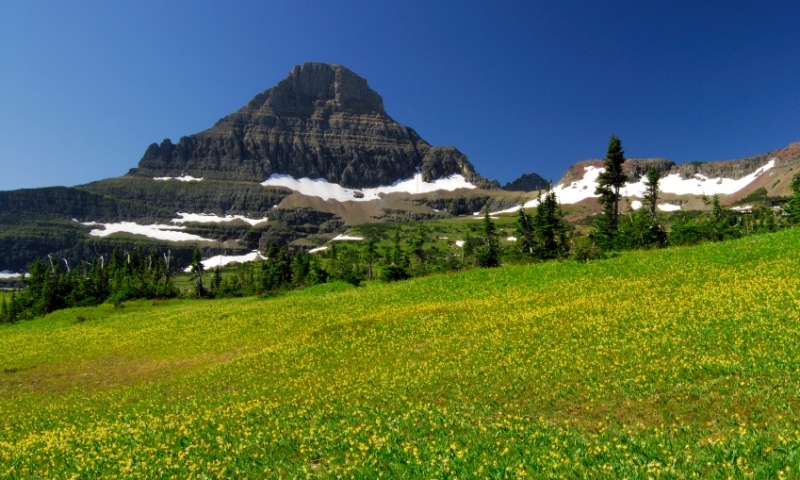 Glacier National Park Hanging Garden
