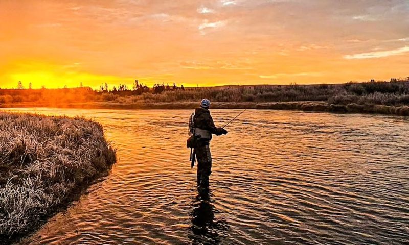 Fishing