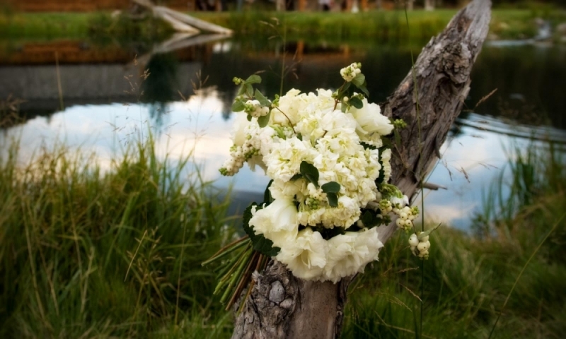 Wedding Weddings Bozeman Montana