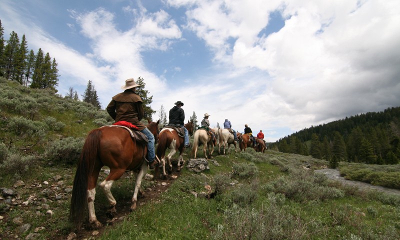 horseback riding yellowstone national park