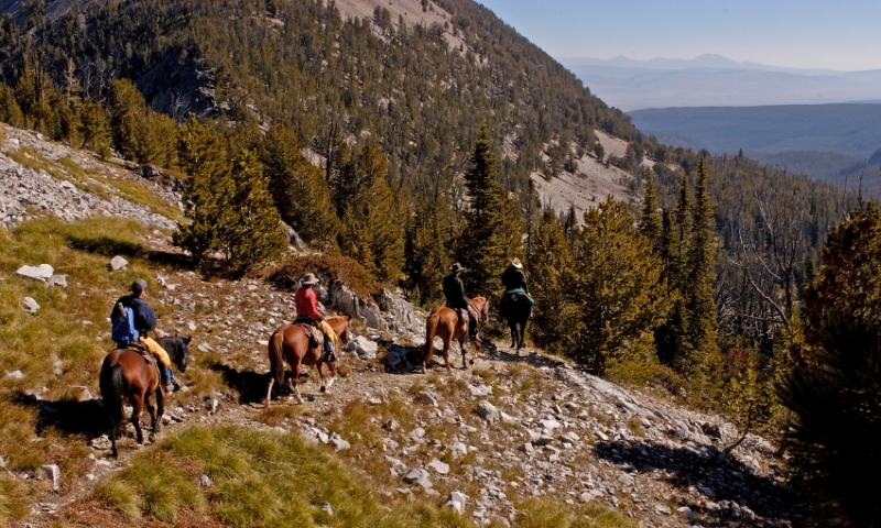 Horse / Llama Pack Trips