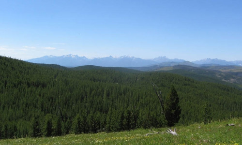Bitterroot Mountains