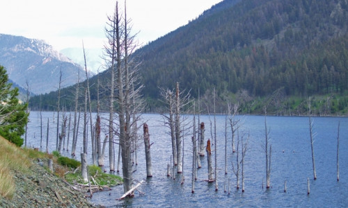 Quake Lake