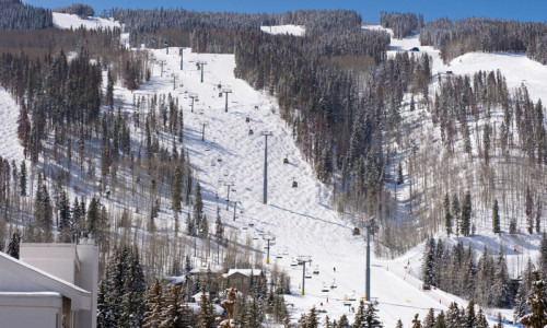 Ski In - Ski Out
