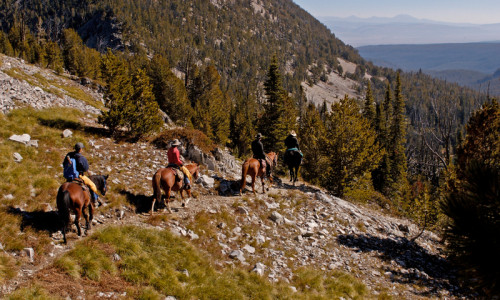 Horseback Riding