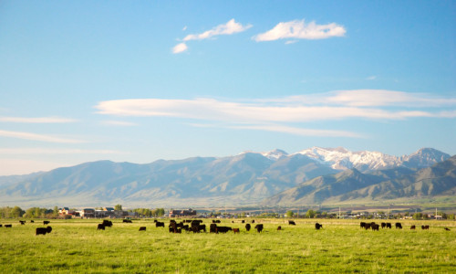Bozeman Montana