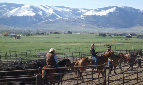 Gallatin Gateway Montana
