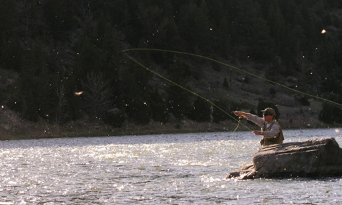 Madison River Valley