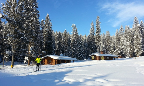 Cross Country Skiing