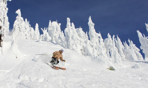 Ski In - Ski Out