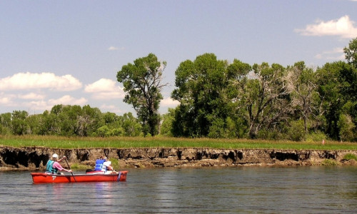 Kayak, Canoe & SUP