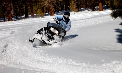 Winter Activities