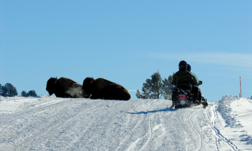 Snowmobiling