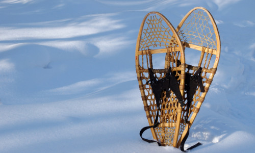 Snowshoeing